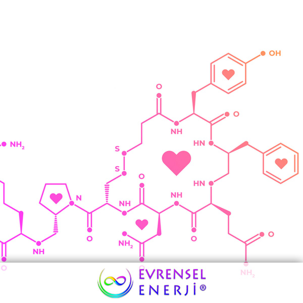 Oksitosin Akışı