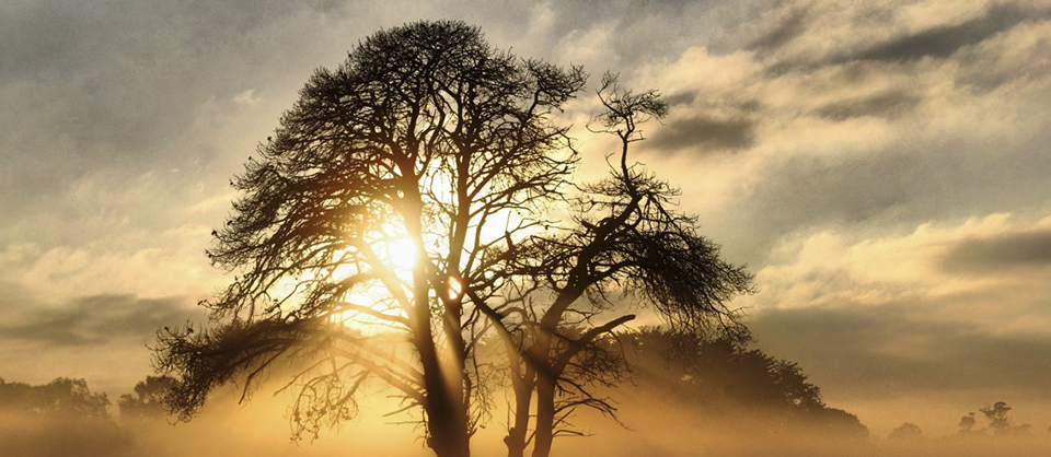 Topraklanmak, Topraklama Egzersizleri