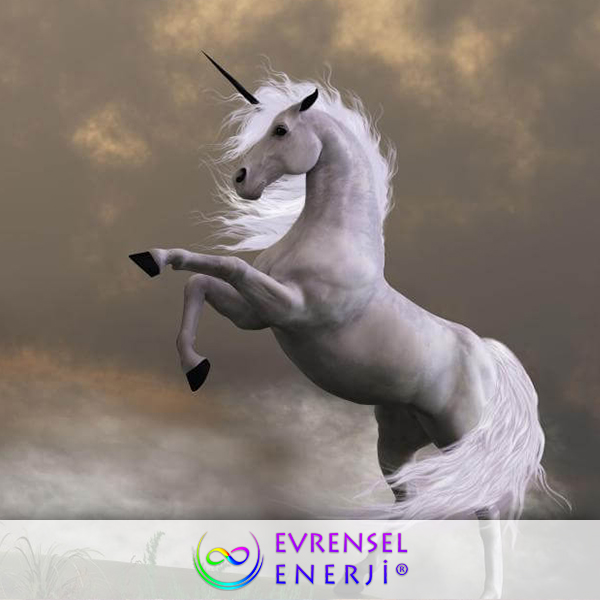 Spirit Steed Reiki Güçlendirmesi